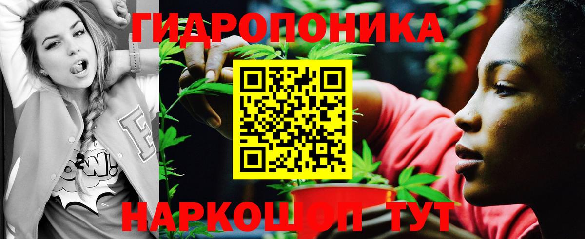 Ирбит  Канабис OG Kush  Марихуана семена  Вход с VPN  Марихуана SATIVA & INDICA 
